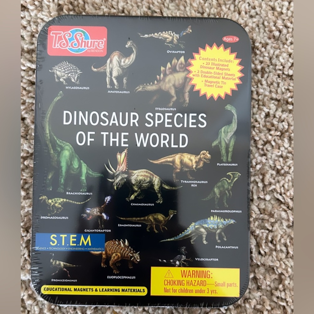 Dinosaur educational magnets and learning materials